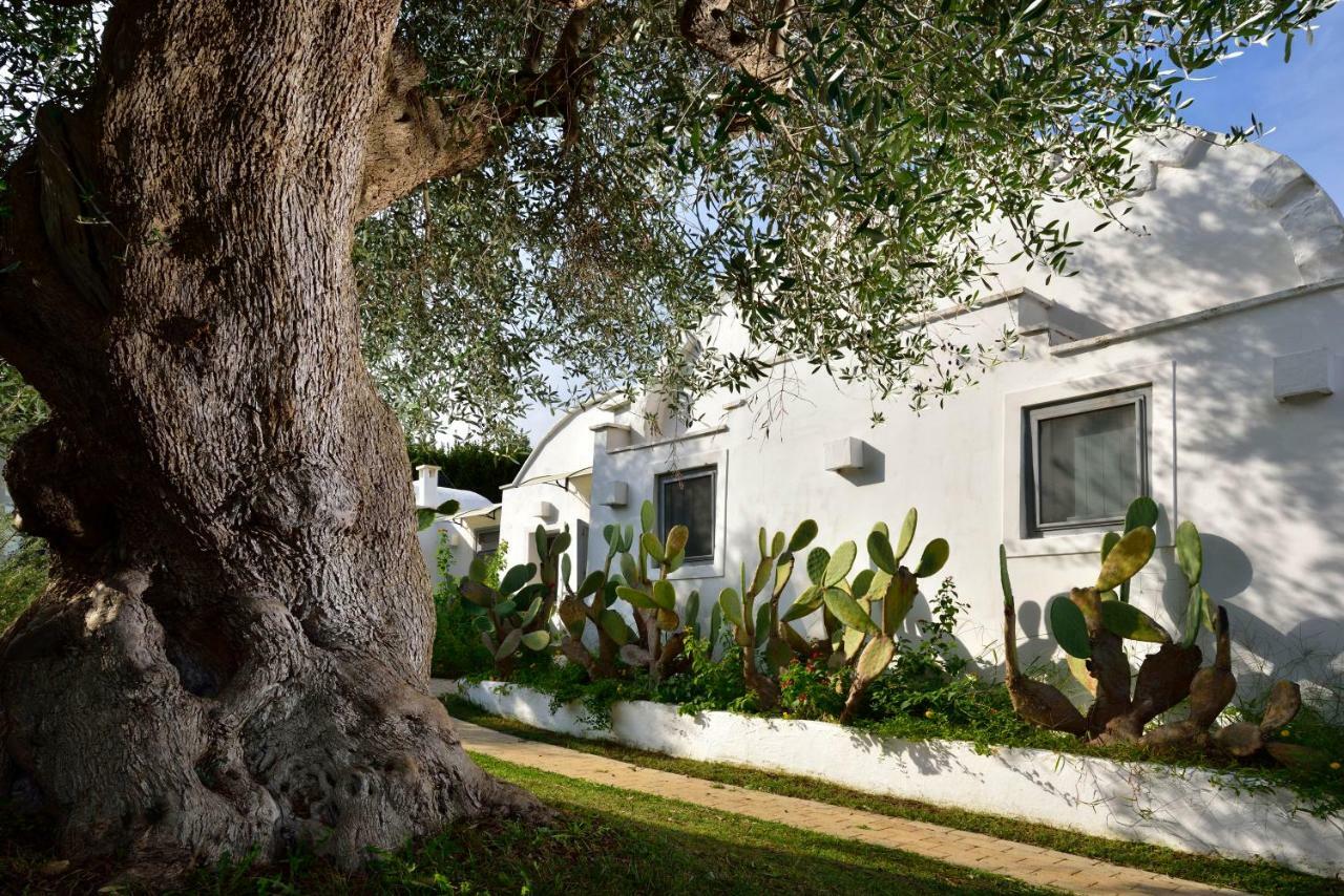 B&B Trullo Barbagiullo Cisternino Kültér fotó